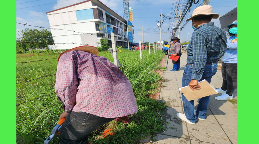 ขายที่ดินถนนเศรษฐกิจ1 กระทุ่มแบน สมุทรสาคร อยู่ติดถนนเส้นหลัก 3091 เยื้องปั๊มปตท-กระทุ่มแบน