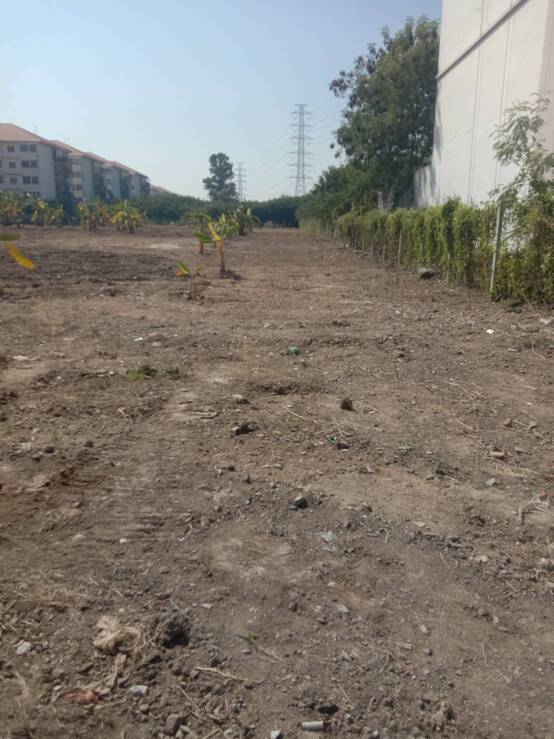 ขายที่ดินถนนเศรษฐกิจ1 กระทุ่มแบน สมุทรสาคร อยู่หน้าโครงการบ้านเอื้ออาทรเศรษฐกิจ1 ติดถนนเส้นหลัก 3091 เยื้องปั๊มปตท-กระทุ่มแบน