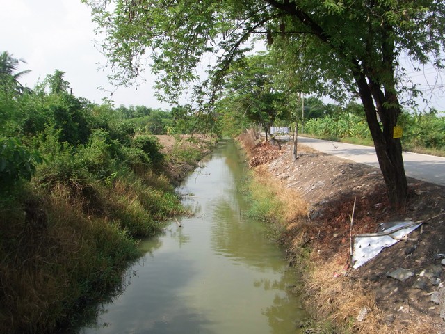 ที่ดิน 3 ไร่ ติดคลองบางโพธิ์เหนือ แปลงงาม เหมาะสร้างบ้านพัก