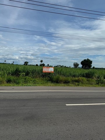 ขายที่ดิน อำเภอบ้านไร่ จังหวัดอุทัยธานี ตรงข้ามวัดหนองหูลิง