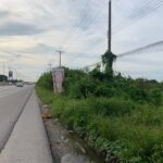 ขายบ้านพร้อมที่ดินติดถนน346 (ติดคลอง) บางเลน นครปฐม