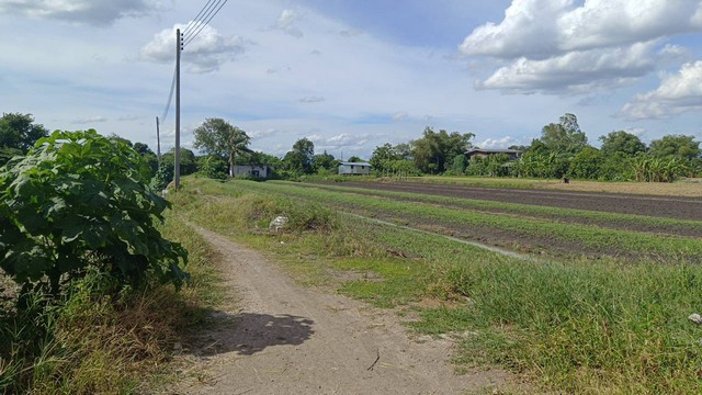 ขาย ที่ดิน 11-1-76 ตร.ว.. ใกล้ถนนราชพฤกษ์ (7)