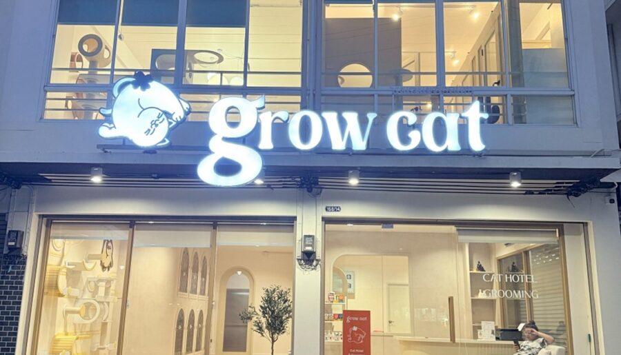 เซ้งโรงแรมแมว-อาบน้ำแมว เมืองชลบุรี หลังเซนทรัลชลบุรี