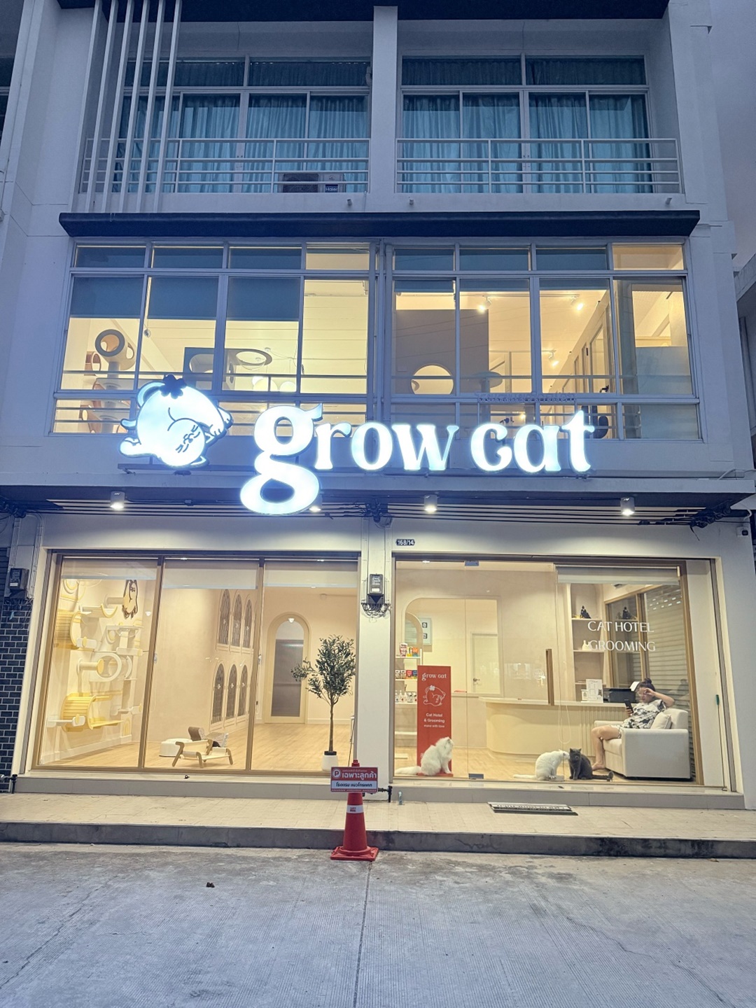 เซ้งโรงแรมแมว-อาบน้ำแมว เมืองชลบุรี หลังเซนทรัลชลบุรี