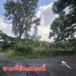 ขายที่ดิน 289.9 ตร.ว ม.ภูภัทรา ปากช่อง เขาใหญ่ แปลงมุม ติดถนน 2 ด