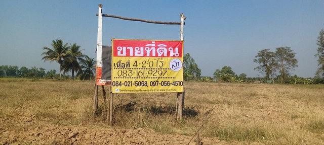 ขายที่ดินทำเลดี 4-2-0 ไร่ ติดถนนหลวง สุโขทัย – พิษณุโลก ไผ่ขอดอ