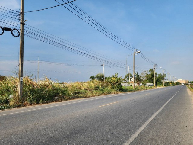 ขายที่ดิน 125 ตรว. ติดมอเตอร์เวย์ ใกล้ ICD ลาดกระบัง ผังสีเขียว