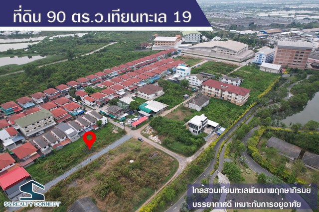ขายที่ดิน 90 ตร.ว.ซอยเทียนทะเล 19 บางขุนเทียน กรุงเทพฯ