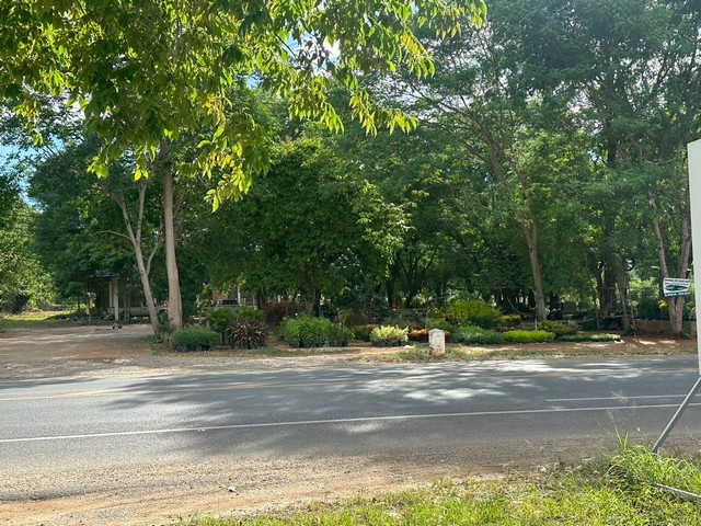 ขายที่ดิน 18-2-15 ไร่ ถนนธนะรัชต์ ต.หมูสี อ.ปากช่อง