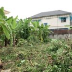 ขายที่ดิน เขตพระโขนงสุขุมวิท 101/1 ซอยวชิรธรรมสาธิต 53