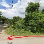 ขายที่ดินแบ่ง100ว. 3.9ล. วงแหวน3รอบนอก ท่าวังตาล สารภี เชียงใหม่