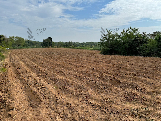 ขาย ที่ดินเปล่ารวมแปลง 169 ไร่ มีรั้วรอบที่ดิน ต.วอแก้ว อ.ห้างฉัต