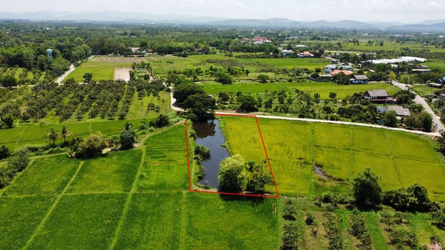 ขายที่ดินวิวทุ่งนามีหนองน้ำ ติดถนนคอนกรีตในชุมชน