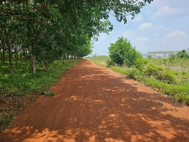 ขายที่ดินผังม่วงแปลงยาวฉะเชิงเทรา 35-0-17 ไร่