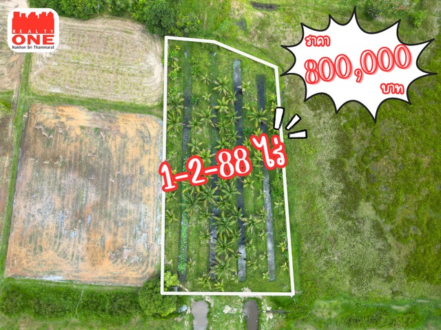 ที่ดินสวนมะพร้าว ทำเลดี ต.ท่าขึ้น อ.ท่าศาลา จ.นครศรีธรรมราช