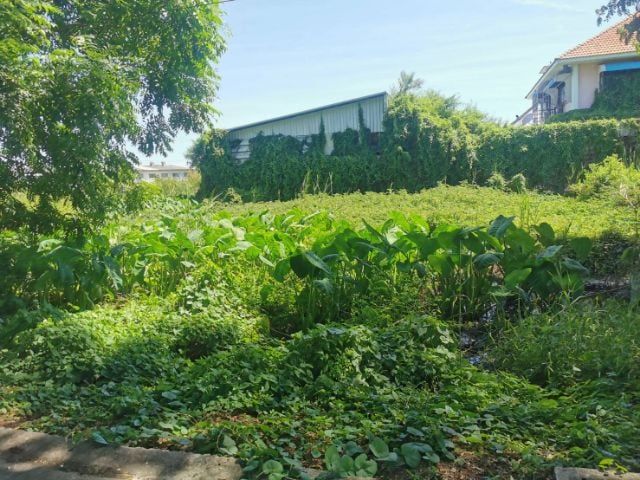 ขายที่ดินเปล่า​ เพชรเกษม​ 77/3​ สวัสดิการ​2​ ซอย​15