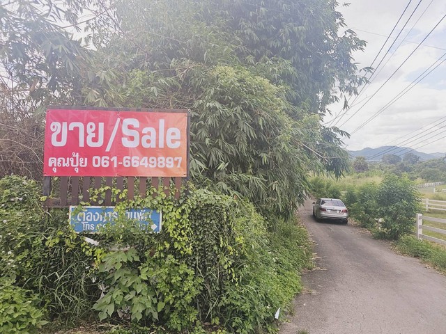 ขายที่เปล่าปากช่อง ทำเลสวยๆ ใกล้แม็คโคร-ใกล้ไทวัสดุ-ใกล้โลตัส