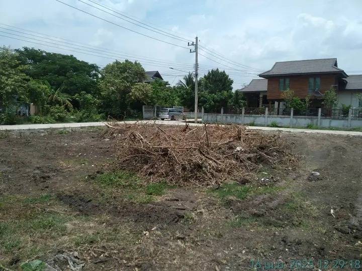 ขายที่ดินเปล่า ทำเลดี ทางเข้าออกสะดวกสบาย จังหวัดบุรีรัมย์