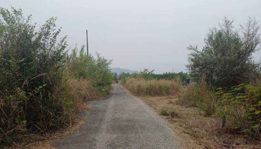 ขายที่ดินจัดสรร ทำเลดี ตำบลหนองอีรุณ อำเภอบ้านบึง จังหวัดชลบุรี