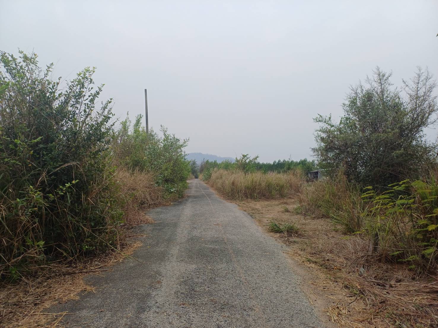 ขายที่ดินจัดสรร ทำเลดี ตำบลหนองอีรุณ อำเภอบ้านบึง จังหวัดชลบุรี