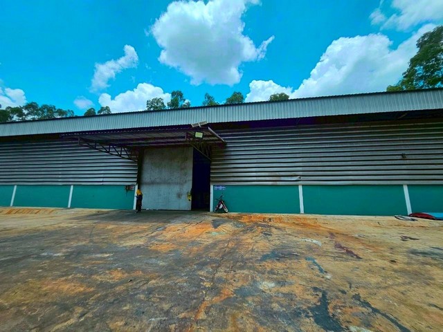 ขายและให้เช่าโรงงานฉะเชิงเทรา 19 -1-70 ไร่