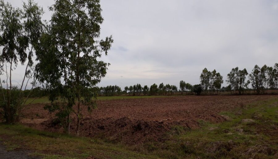 ขายที่ดินเปล่า ทำเลทอง ตำบลแกใหญ่ อำเภอเมือง จังหวัดสุรินทร์