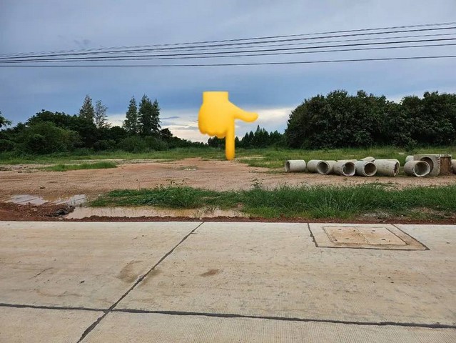 ขายที่ดินถมแล้วพนัสนิคม​ชลบุรี 11​ ไร่