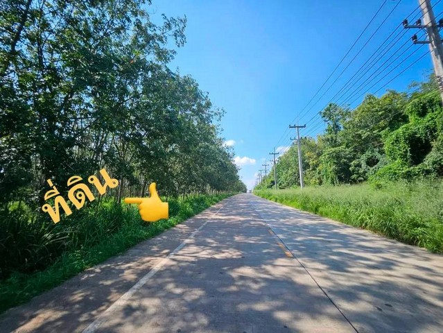 ที่ดินสวยโซนโรงงานบ้านบึงชลบุรี​​ 26​ ไร่