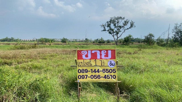 ขายที่ดิน 1ไร่ ซอยพัฒนา เทศบาล 19 ถ.รังสิต-นครนายก