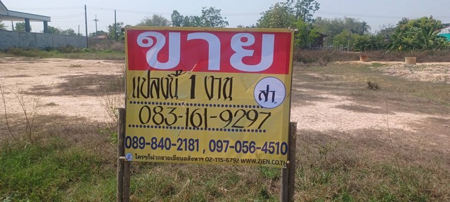 ขายที่ดิน 1 งาน ถมแล้ว พร้อมสร้างบ้านอาศัย บ้านไร่บึงถ้ง พิษณุ