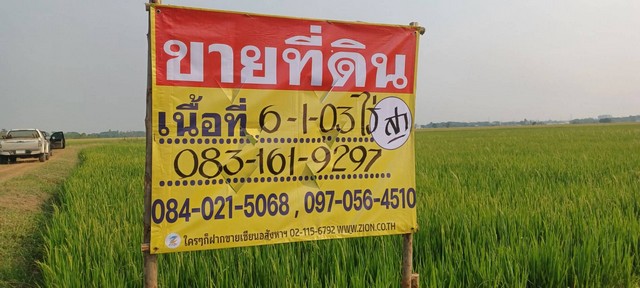 ขายที่นาราคาถูก ใกล้ชุมชน 6-1-03 ไร่ บ้านกร่าง พิษณุโลก