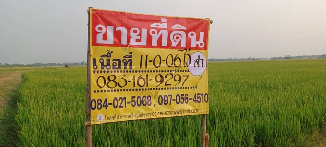 ขายที่นาราคาถูก ใกล้ชุมชน 11-0-06 ไร่ หลังวัดป่าเรไร พิษณุโลก