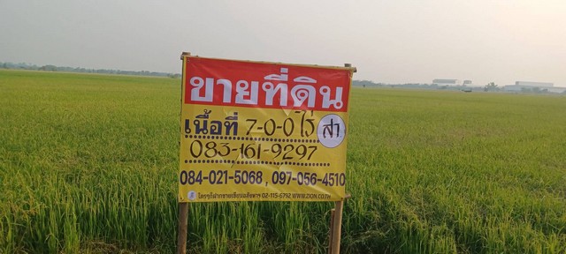 ขายที่นาราคาถูก 7 ไร่ หลังวัดป่าเรไร ใกล้ชุมชน บ้านกร่าง