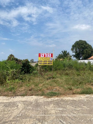 ขายที่ดิน 243.4 ตร.วา แปลงสวย ด้านหลังติดคลอง ชัยมงคล เมืองสมุท