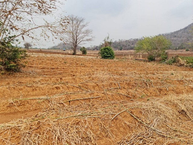 พฤษภาแห่งการซื้อที่ดินสวยๆ ขาย/เช่า ที่ติดภูเขา อ.เมือง จ.นครสวรร