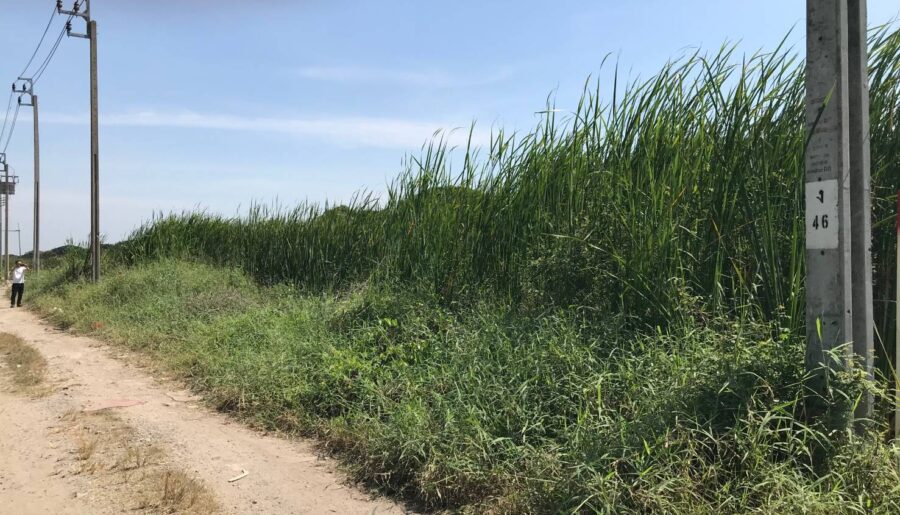 ขายที่ดินปล่าว 190 ตารางวา ซอยร่มเกล้า 19 ปากทางเข้าหมู่บ้านพาร