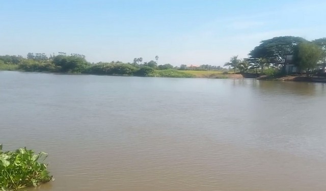 ขายที่ติดแม่น้ำบางปะกง 24 ไร่เศษ ต.บางยาง อ.บ้านสร้าง จ.ปราจีนบุ