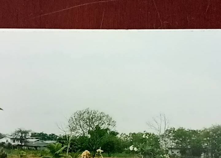 ขายที่ดินรังสิต คลอง8 สวยมาก 4.03ไร่ แปลงหัวมุมติดถนนทั้ง2ด้าน