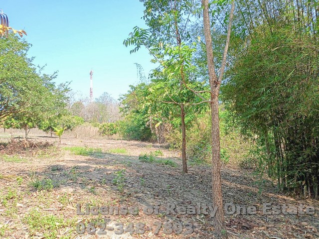 ขายที่ดิน ทำเลดี ติดถนนสายนครไทย-ชาติตระการ จ.พิษณุโลก