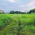 ขายที่ดิน เนื้อที่ 18-1-3 ไร่ กลางเมืองเพชรบูรณ์