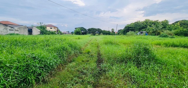 ขายที่ดิน เนื้อที่ 18-1-3 ไร่ กลางเมืองเพชรบูรณ์