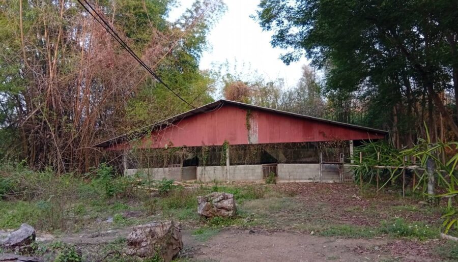 ขายที่ดินพร้อมสิ่งปลูกสร้างพร้อมสวนผลไม้ผสมหลายชนิด 21-2-53ไร่