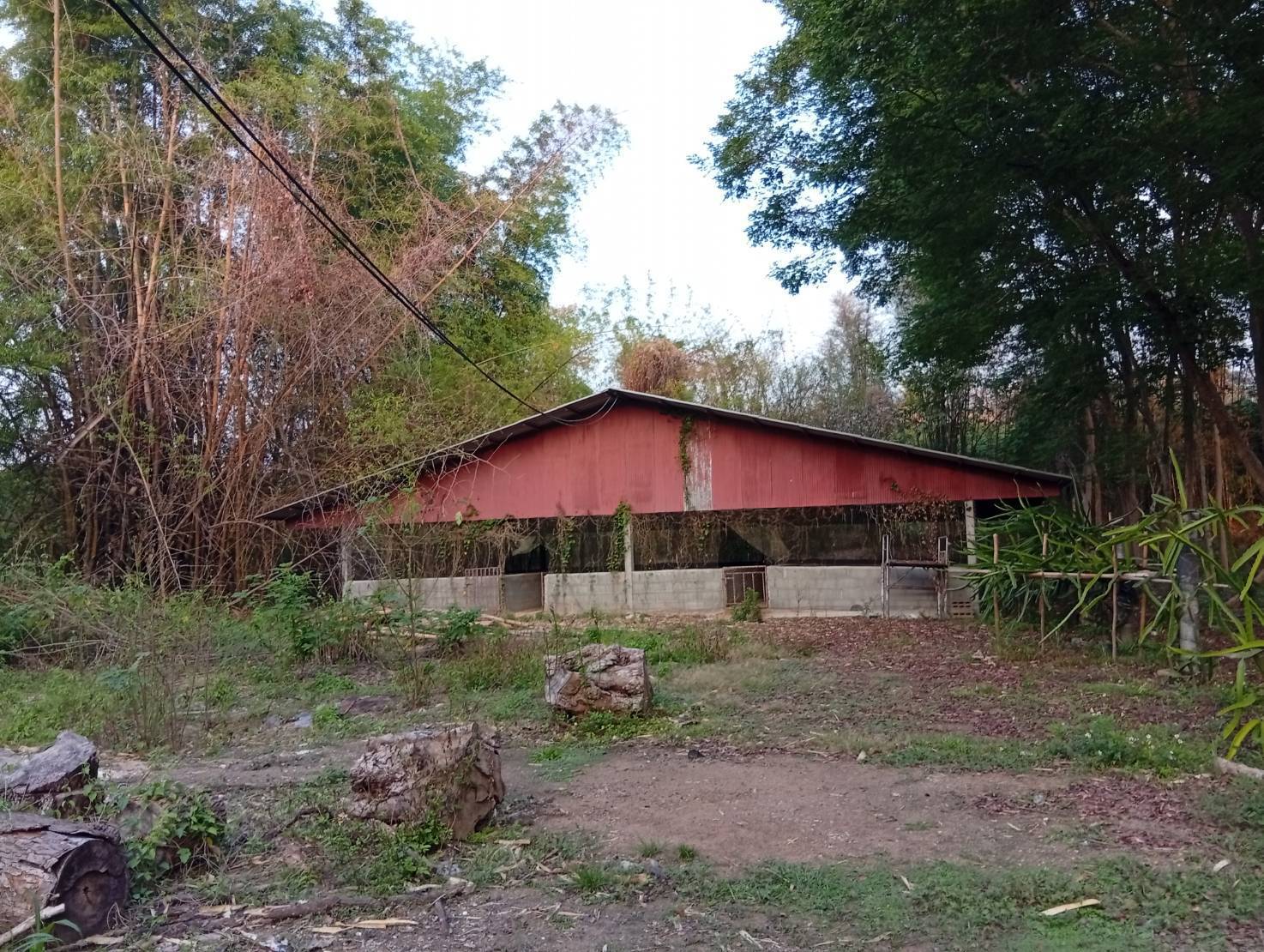 ขายที่ดินพร้อมสิ่งปลูกสร้างพร้อมสวนผลไม้ผสมหลายชนิด 21-2-53ไร่