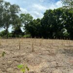 ขายที่ดินนครปฐม พุทธมณฑลสาย 5 อ.สามพราน ขนาด 2-1-30 ไร่ แปลงสวย