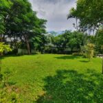 ขายที่ดินงามวงศ์วาน ซอยทิมแลนด์ ขนาด 414 ตารางวา ทำเลดีมาก