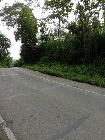 ขายที่ดิน ขนาดที่ดิน 6 ไร่ 3 งาน 24 ตารางวา เชียงใหม่