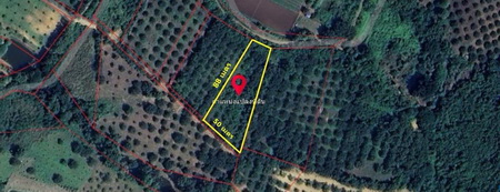 ที่ดิน สวนมะขามหวาน วิวเขาด้านหลัง ราคาถูก อ.หล่มสัก จ.เพชรบูรณ