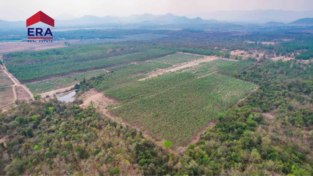 ที่ดินเปล่าแปลงใหญ่ อำเภอหนองหญ้าปล้อง จังหวัดเพชรบุรี