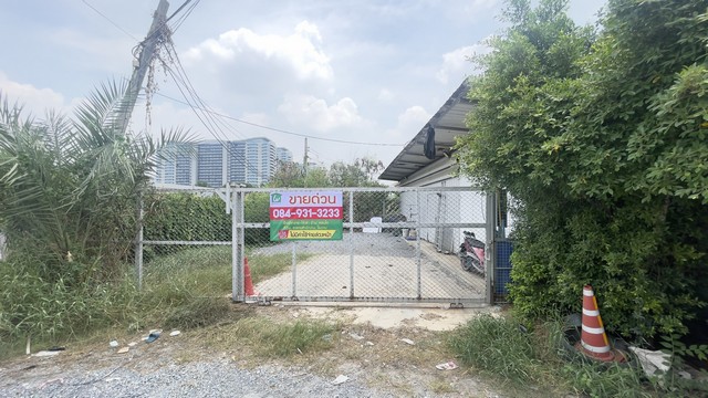 ขายที่ดินถมแล้ว 100 ตร.วา ทำเลทอง ใกล้แจ้งวัฒนะ