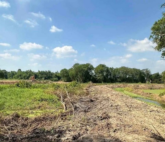 ขายที่ดินพนัสนิคมราคาถูก!! 7 -​2- 92 ไร่